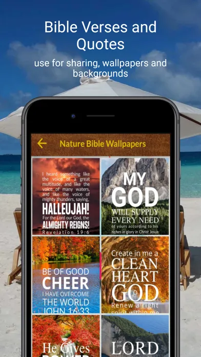 Скриншоты King James Pro Study Bible