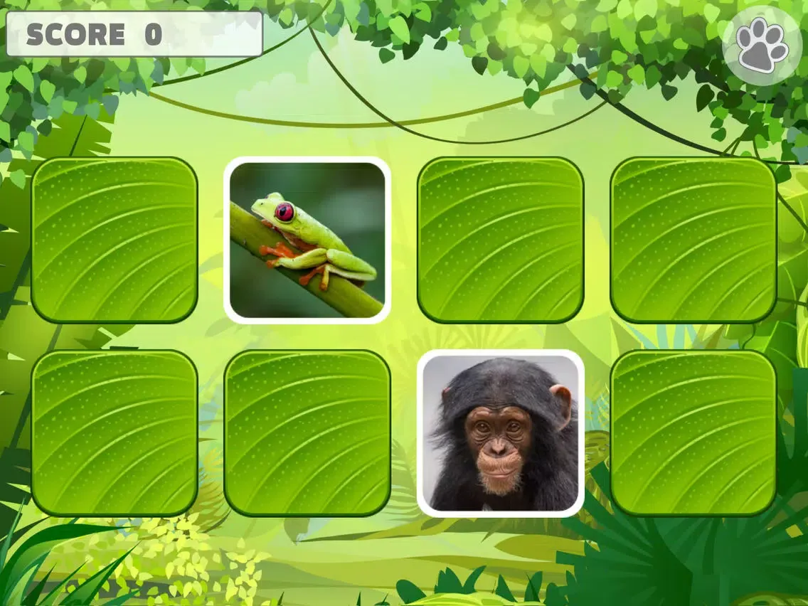 Animal Memory Matching Games for kids iPad 應用截圖