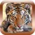 Animal Sounds & Pictures Zoo - learning game for kids, toddlers and babies