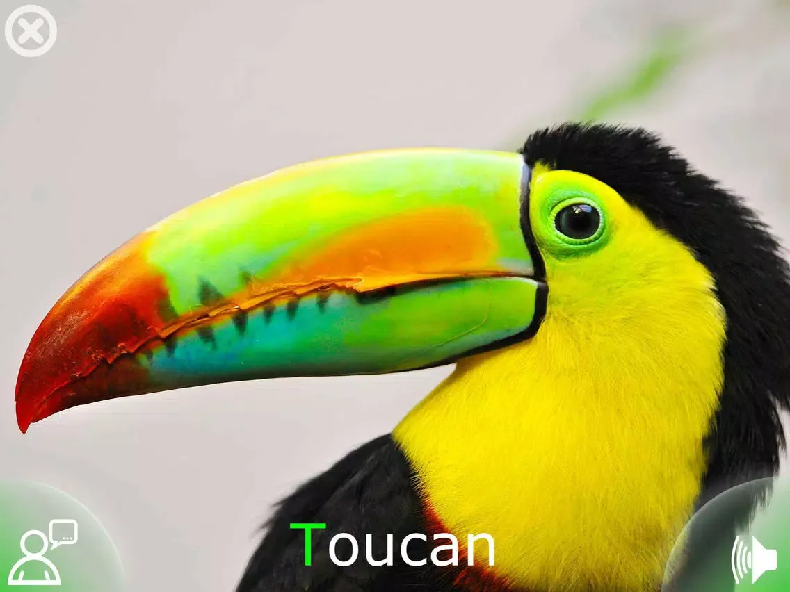 تصاویر Animal Sounds & Pictures Zoo - learning game for kids, toddlers and babies iPad 