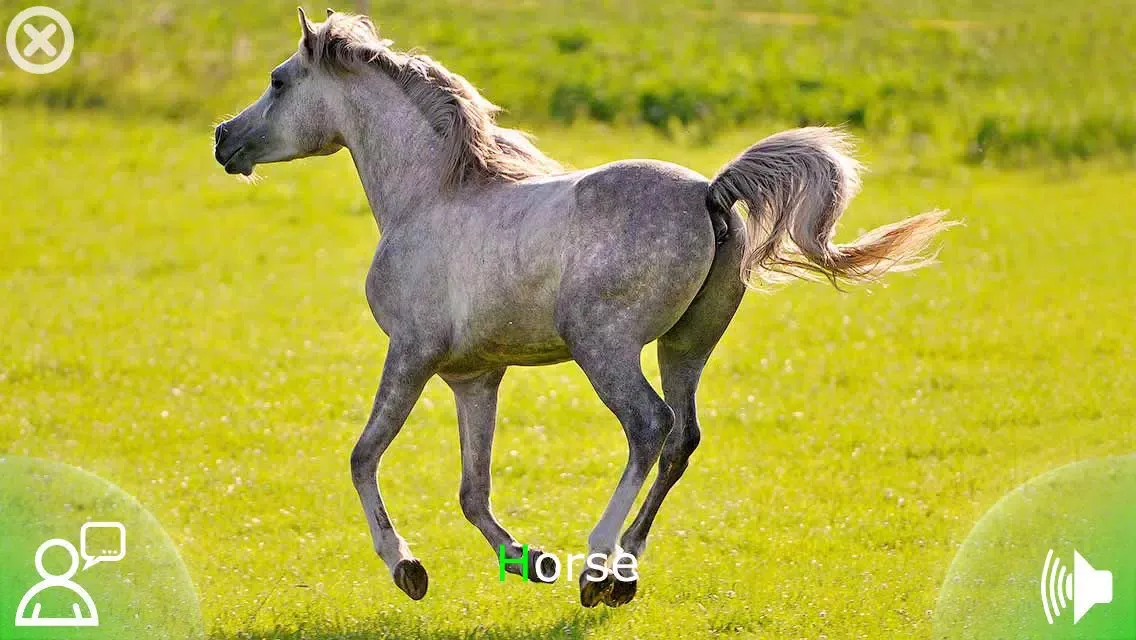 تصاویر Animal Sounds & Pictures Zoo - learning game for kids, toddlers and babies