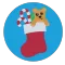 Christmas decoration