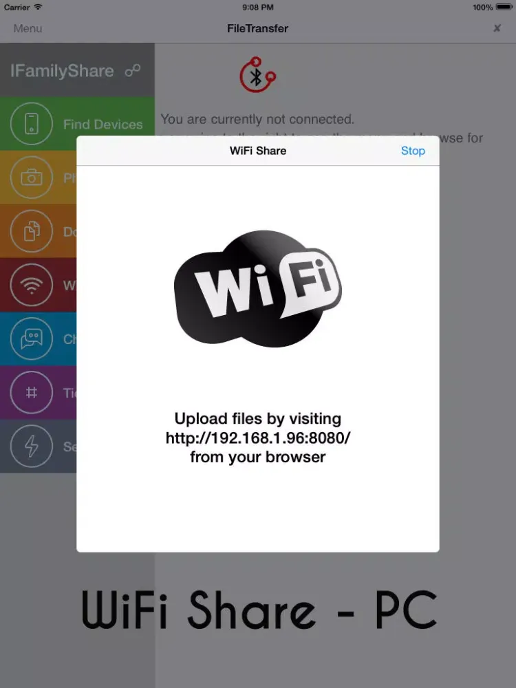 File Transfer iFamily - Files, Photo, Video, Documents + WiFi Share iPad  스크린샷