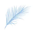 Atlantic Palms