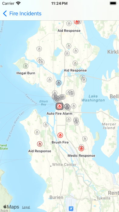 Seattle Fire स्क्रीनशॉट