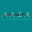 All-Around Gymnastics Academy All-Around Gymnastics Academy