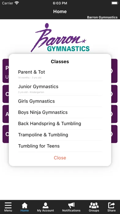 Capturas de tela do Barron Gymnastics