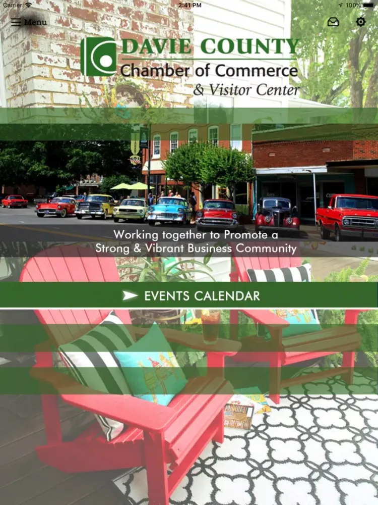 Скриншоты DAVIE CHAMBER iPad 