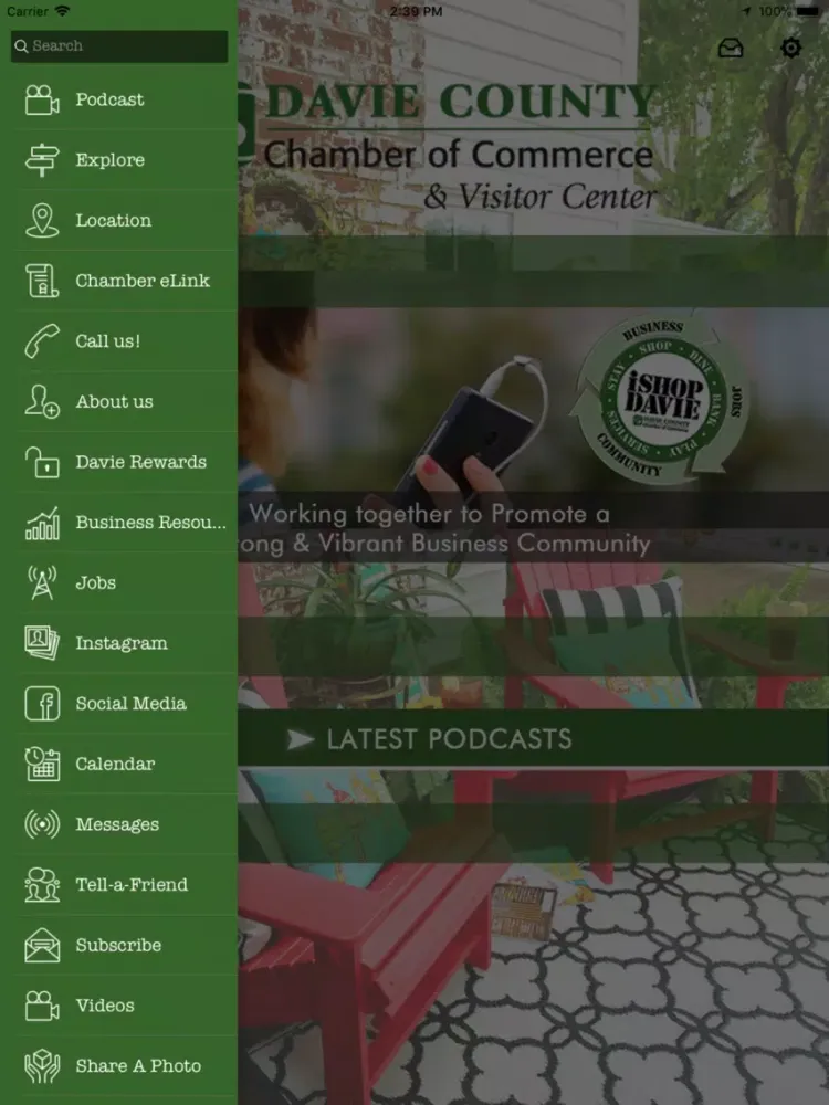 Скриншоты DAVIE CHAMBER iPad 