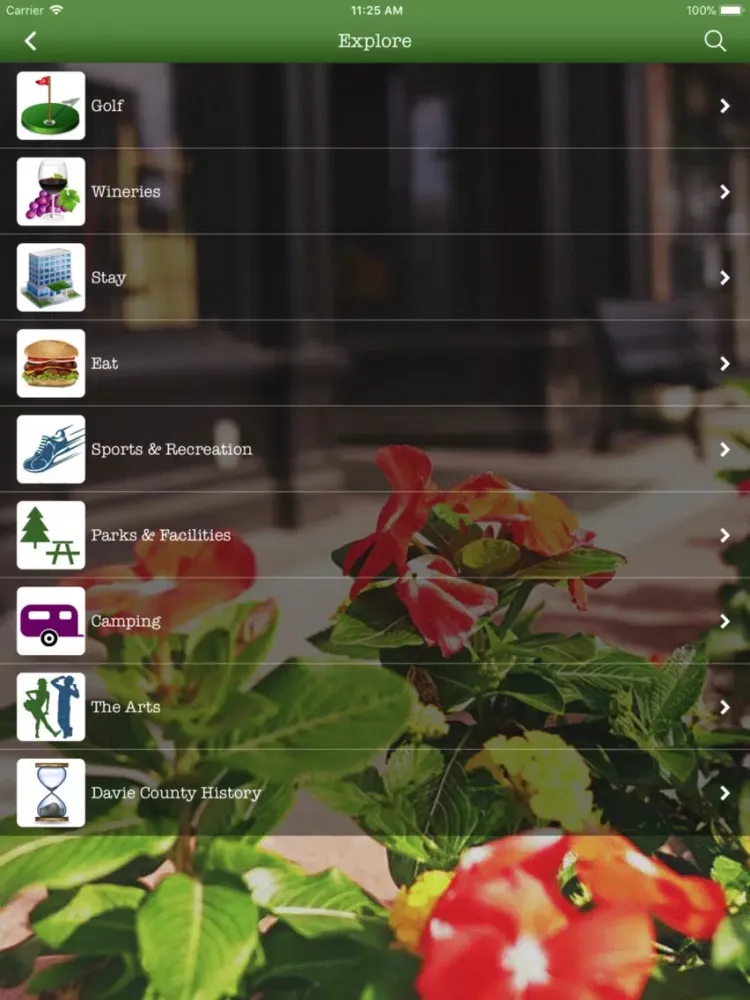 Скриншоты DAVIE CHAMBER iPad 