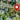Live Earth Map