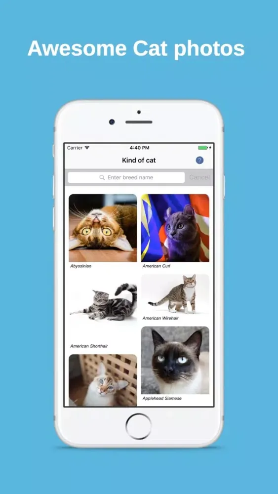 Cat Finding应用截图