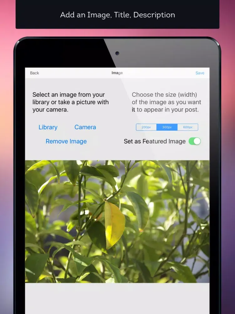 Mobile Podcaster - Record and Publish Your Podcast to WordPress, Libsyn and Dropbox iPad 应用截图