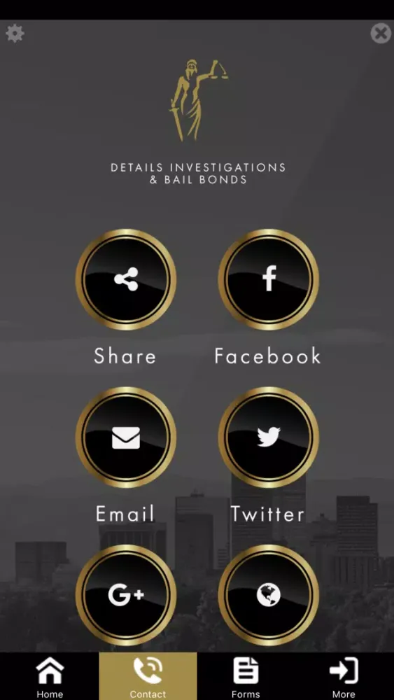 Скриншоты Details Investigations and Bail Bonds