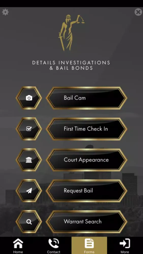 Скриншоты Details Investigations and Bail Bonds