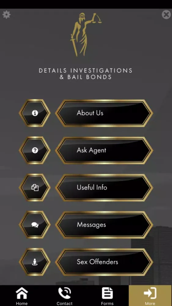 Скриншоты Details Investigations and Bail Bonds