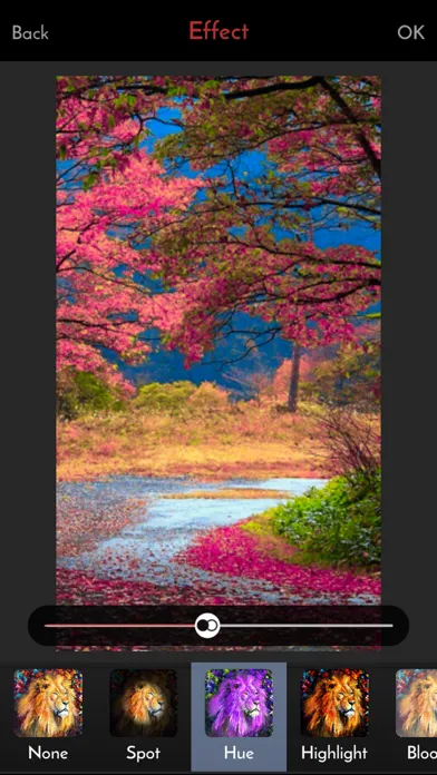 Capturas de tela do iFilter Free Photo and Camera Editor