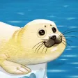 North Pole - Animal Adventures for Kids North Pole - Animal Adventures for Kids