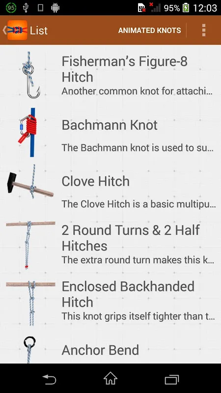Tangkapan skrin Knots Lite