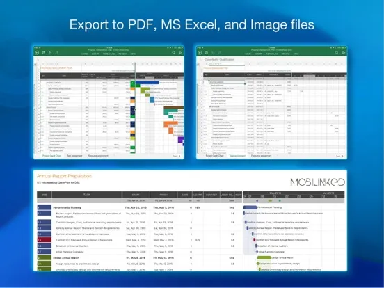 QuickPlan Basic - Project Plan iPad 应用截图