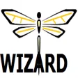 Wizard Dragonfly Wizard Dragonfly
