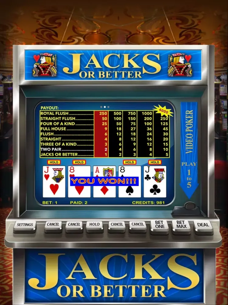 Video Poker Casino - Card Game iPad  سکرین شاٹس