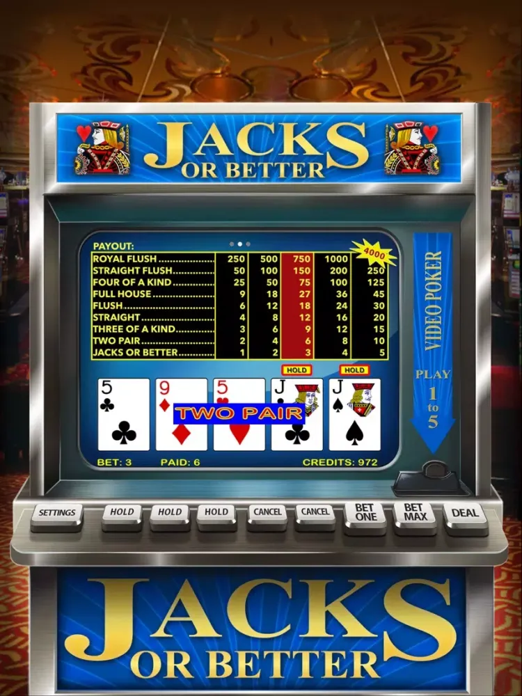 Video Poker Casino - Card Game iPad  سکرین شاٹس