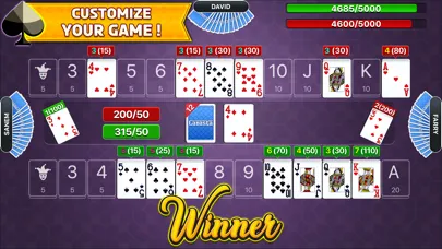 Canasta - Fun Classic Cardgame应用截图