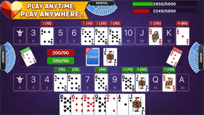 Canasta - Fun Classic Cardgame应用截图