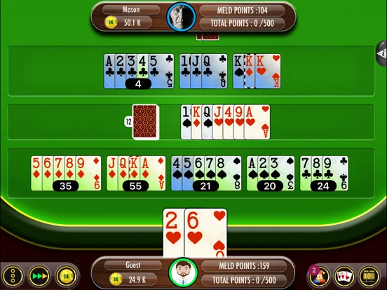 صور Rummy 500 Plus iPad 