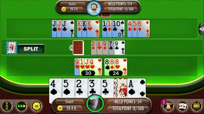 صور Rummy 500 Plus