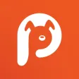 Pawsapp - Dog Walking
