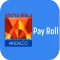 Copper Payroll