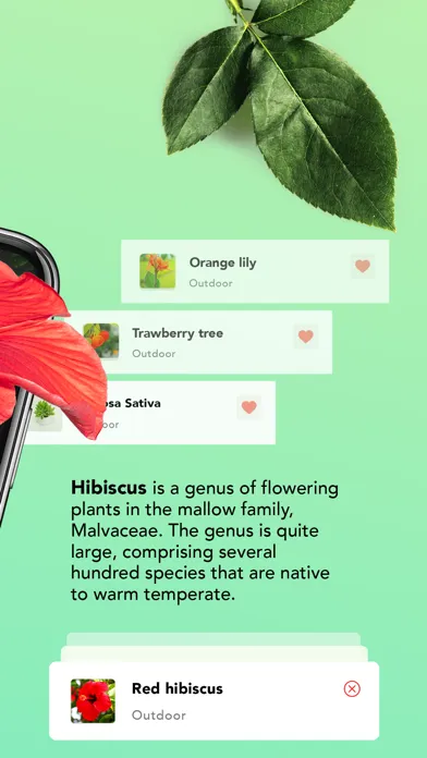 Tangkapan layar Plant identifier: Plant ID app