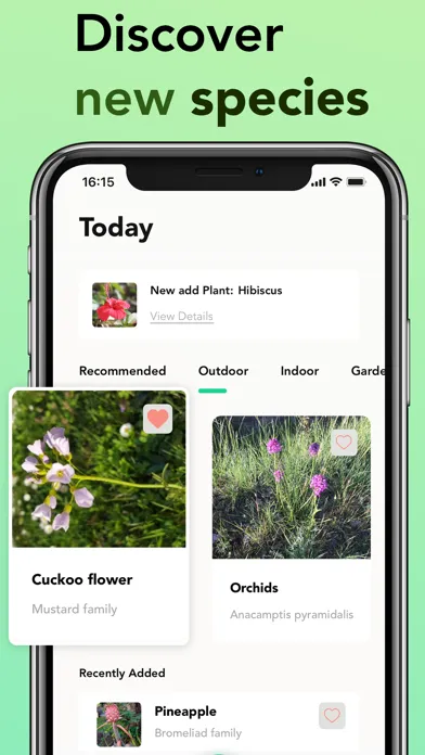 Tangkapan layar Plant identifier: Plant ID app