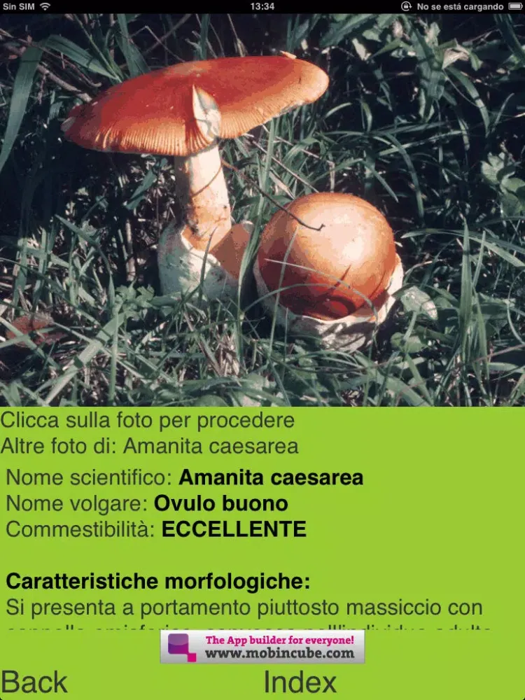 Zrzuty ekranu Guida ai Funghi iPad 