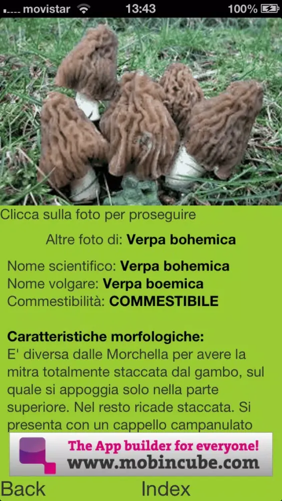 Zrzuty ekranu Guida ai Funghi