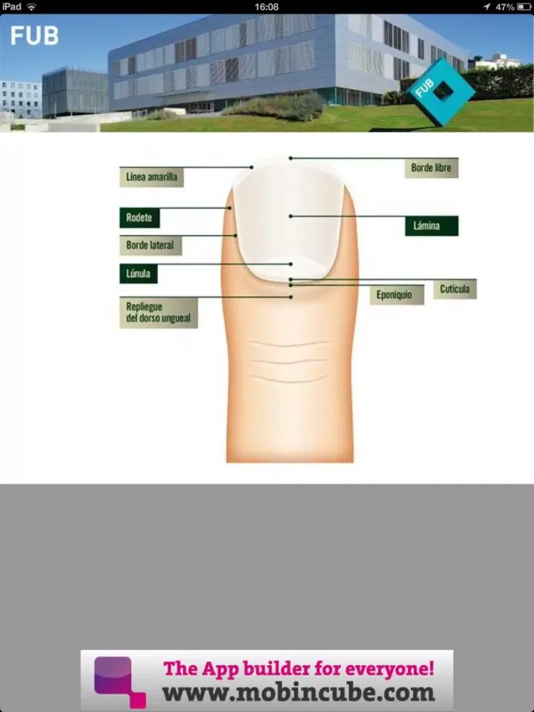 Capturas de tela do Anatomía y patología ungueal iPad 