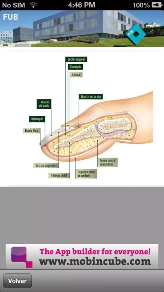 Capturas de tela do Anatomía y patología ungueal
