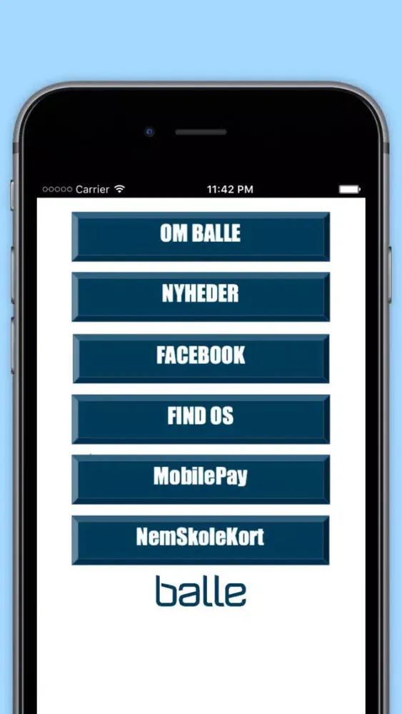 تصاویر Balle Friskole