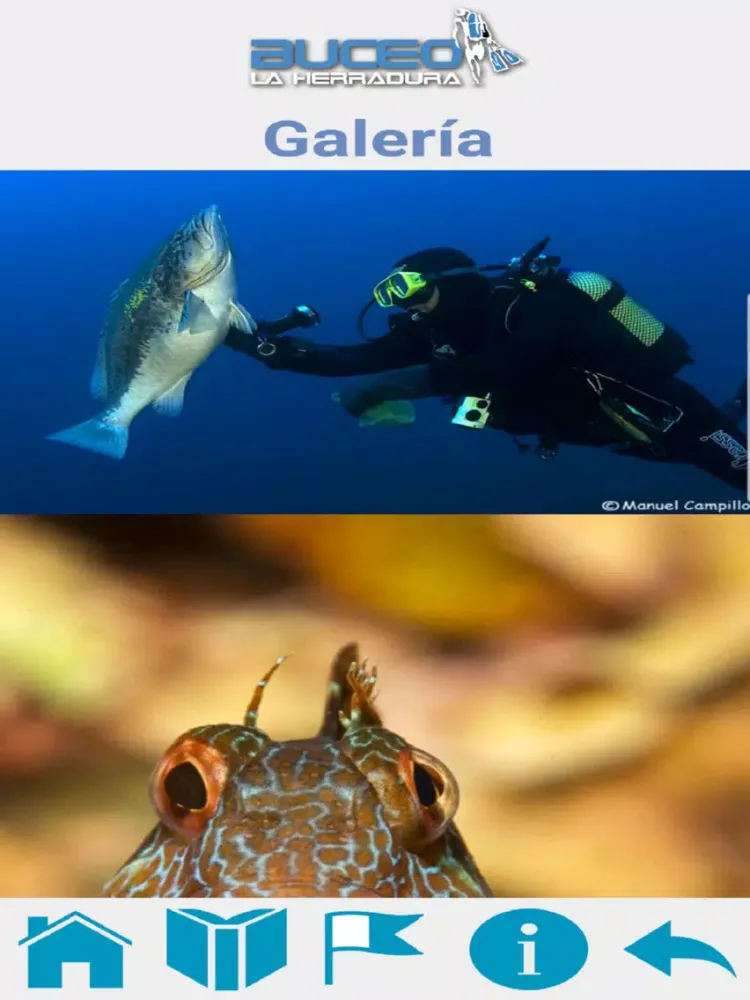 Скриншоты Buceo La Herradura iPad 