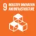 Goal 9 of UN SDGs