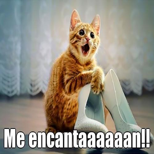 Imagenes de risa