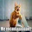 Imagenes de risa