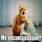 Imagenes de risa