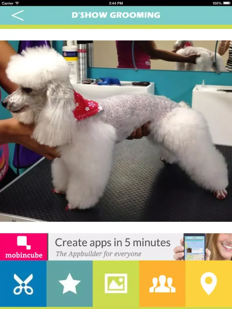 DShow Grooming iPad  سکرین شاٹس