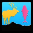Yellowstone Tourist Guide