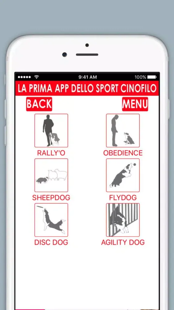 صور Agility Dog tutte le gare