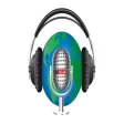 Radio FM stations