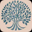 Vivid App Vivid App